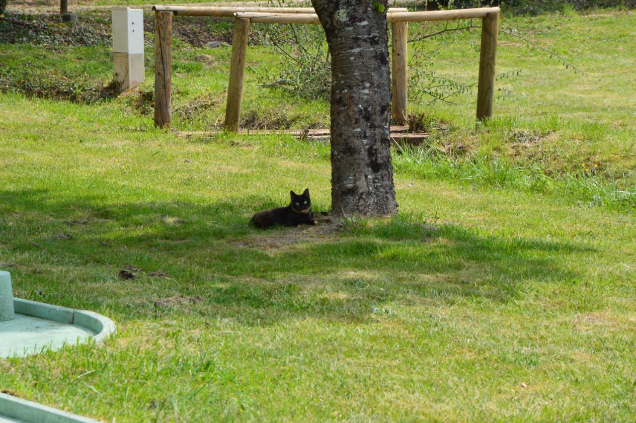 La Foret Enchantee Cornille  Eksteriør billede