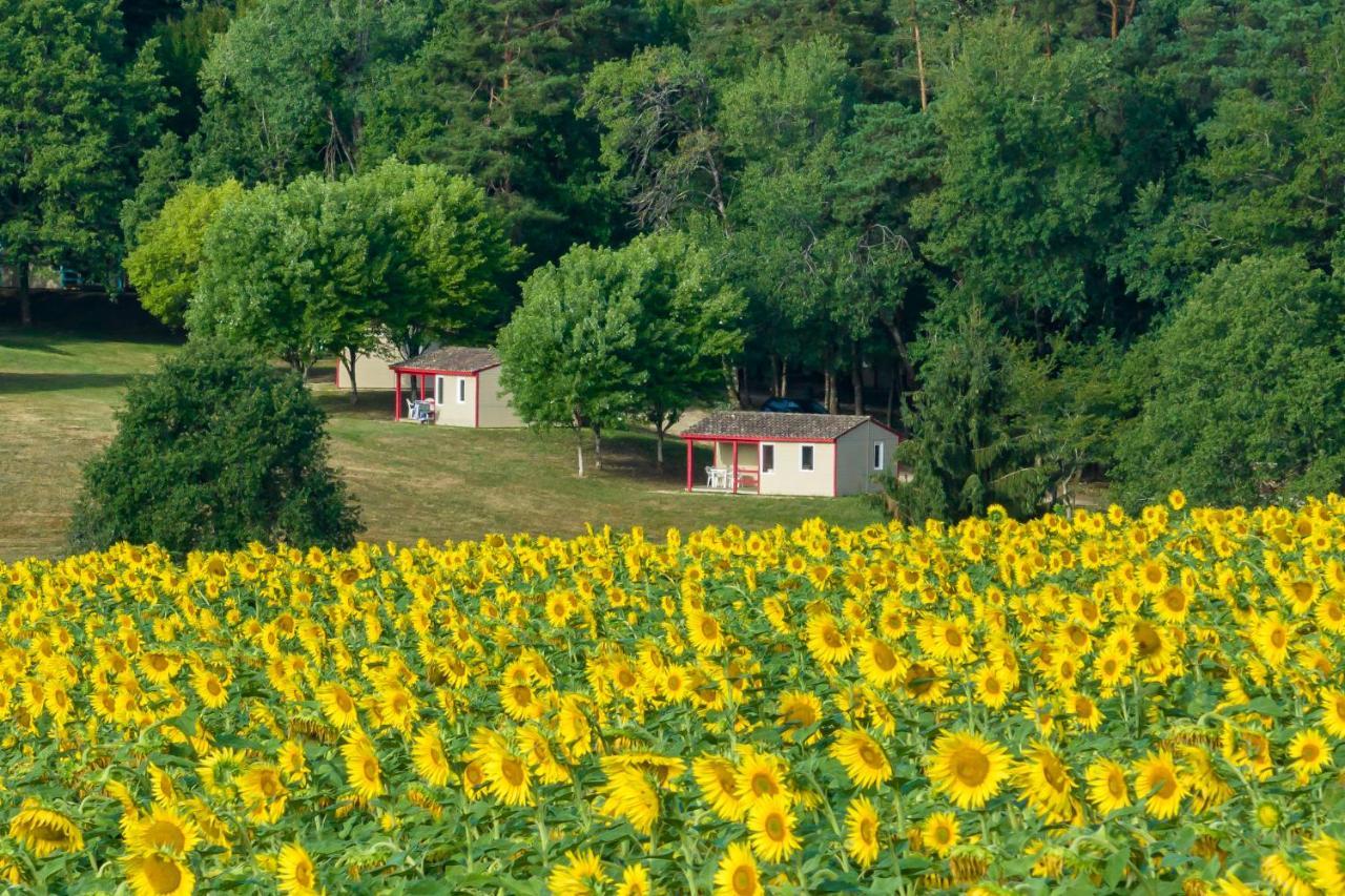 La Foret Enchantee Cornille  Eksteriør billede